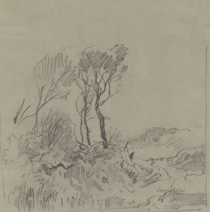Boomstudies